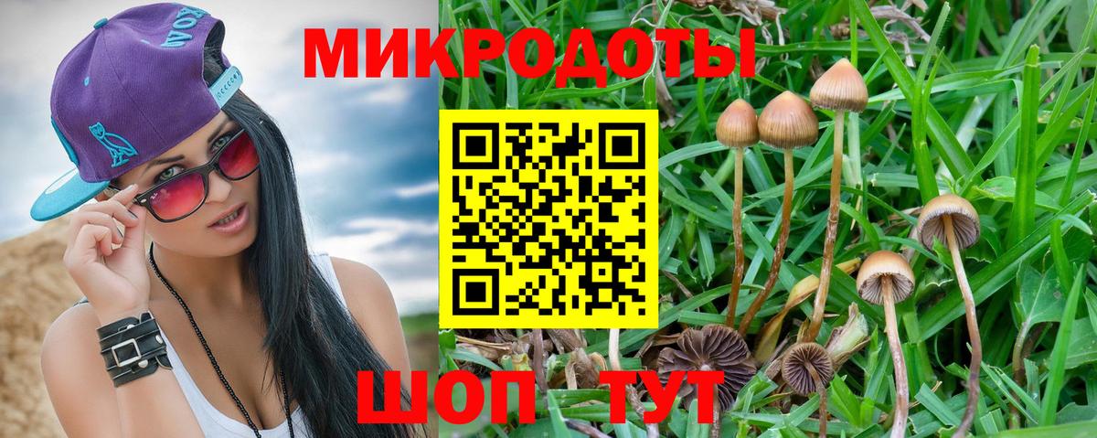Псилоцибиновые грибы Psilocybine cubensis  Вход с VPN  Псилоцибиновые грибы GOLDEN TEACHER  Гуково 