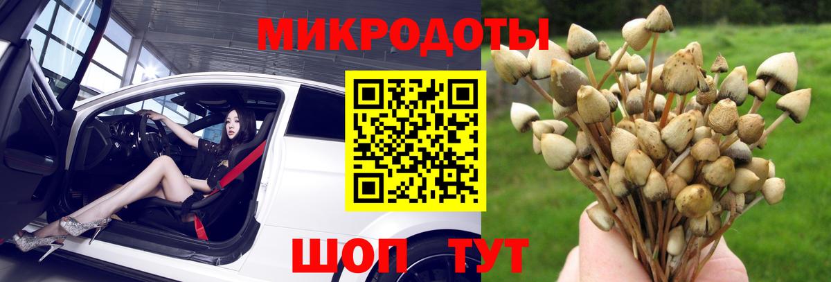 Псилоцибиновые грибы MAGIC MUSHROOMS Гуково